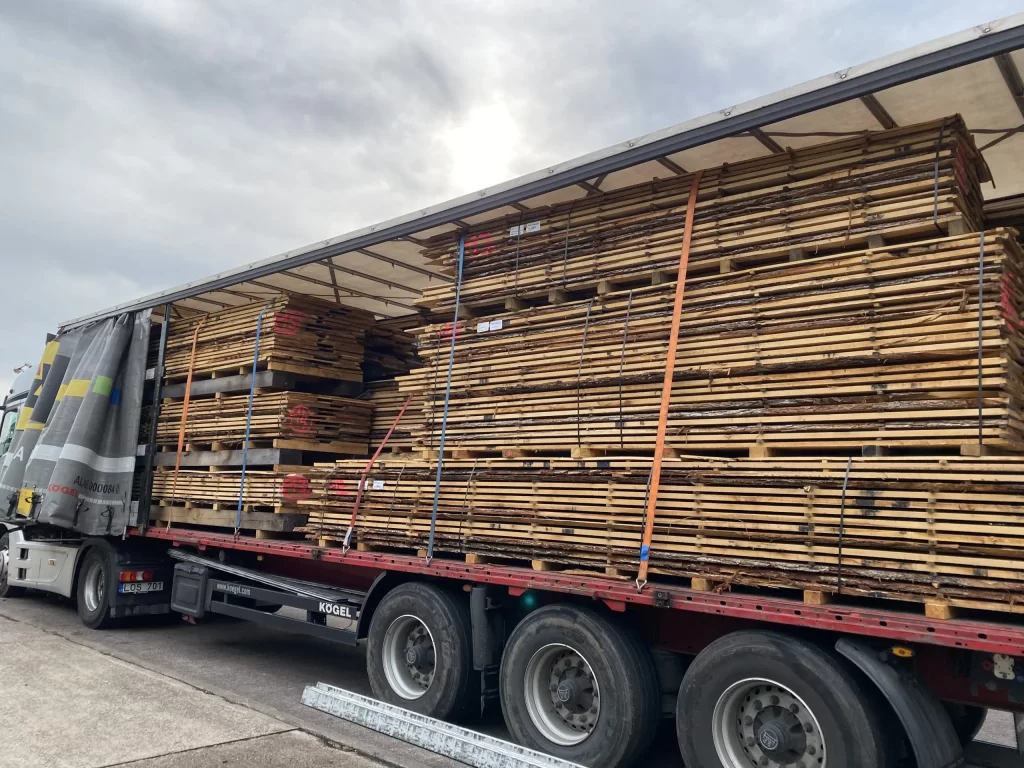 Sykes Timber’s Notre Dame Oak.